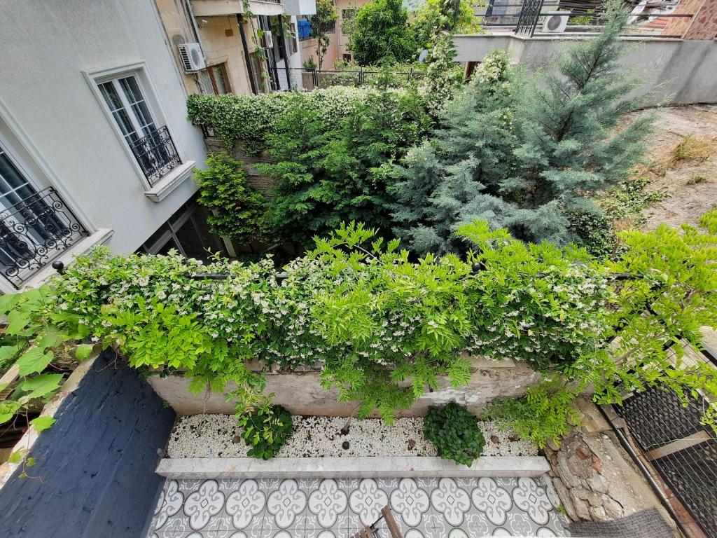 Lüks Üç Kişilik Oda - Görsel 12